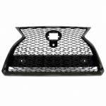 RX 2020-2022 F SPORT წინა ცხაური, კამერიანი